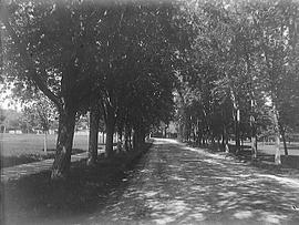 [Bagot Street and City Park, Kingston]